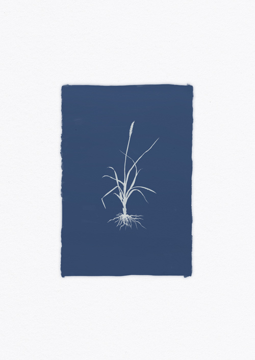vertical image