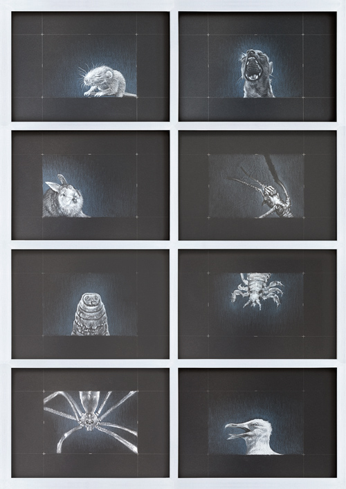 vertical image